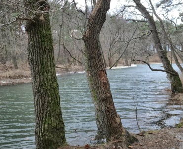 Połączenie Piaśnicy i Bałtyku &ndash; sztormowe wody