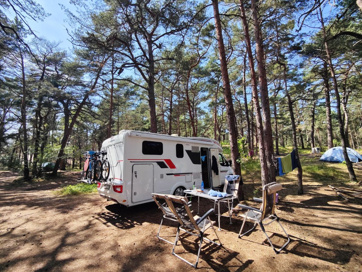 Namiot i kamper na polu kempingowym wśród sosen